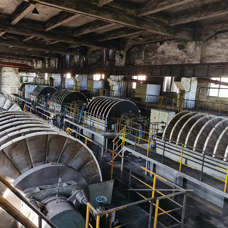 GPT Series Vacuum Disc Filter (Specializing in Concentrates and Tailings Dewateration)