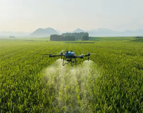 Pesticide industry